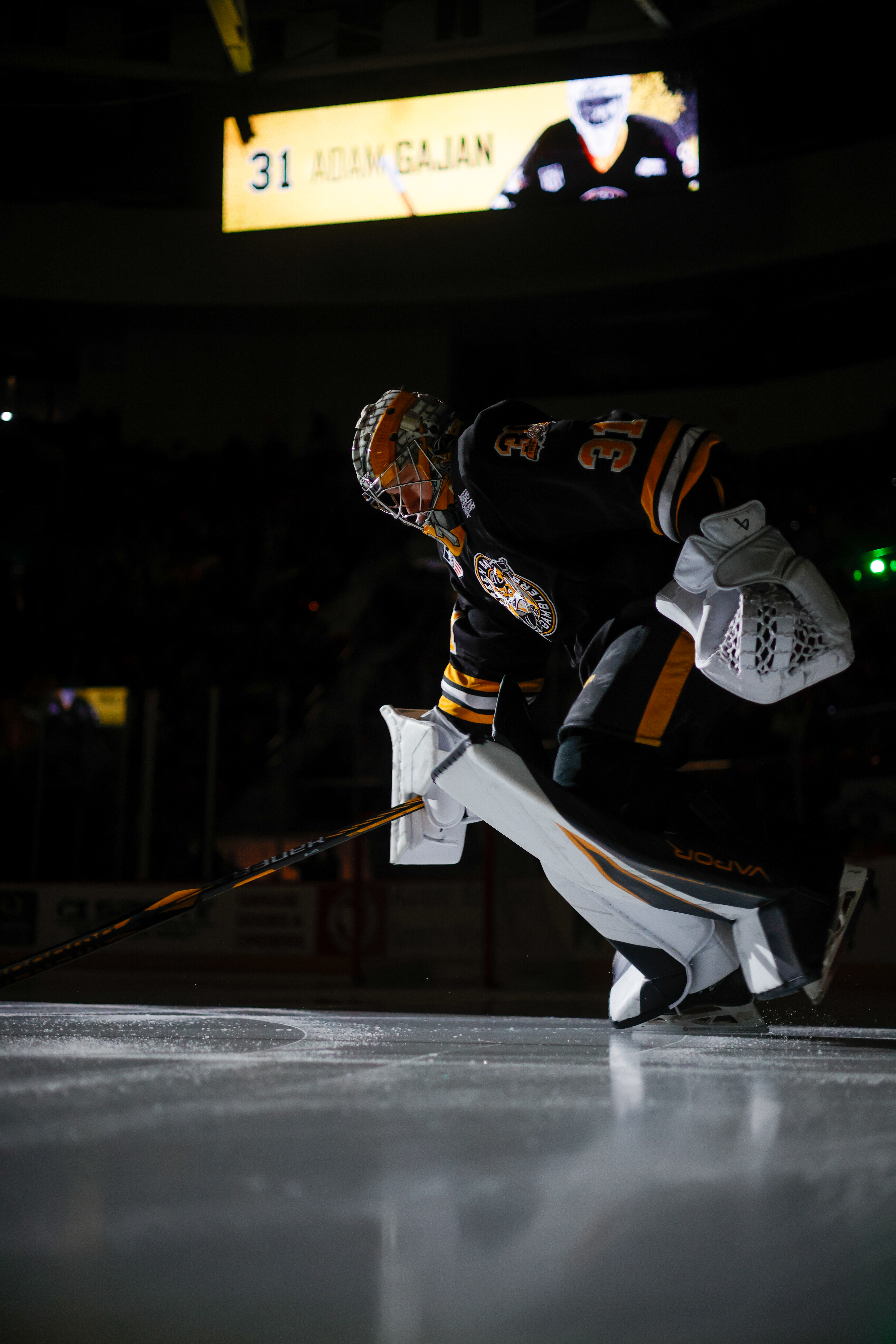 Hockey Goalie